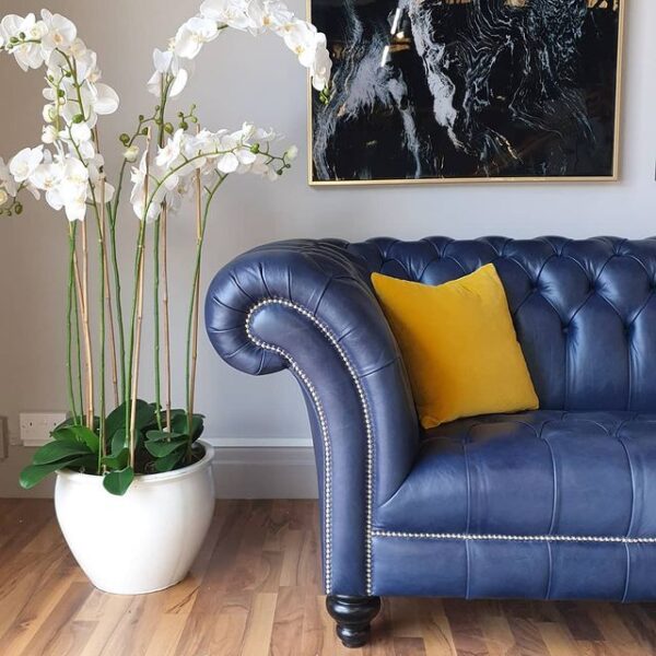 ALEXANDRIA CHESTERFIELD - Classic Chesterfield