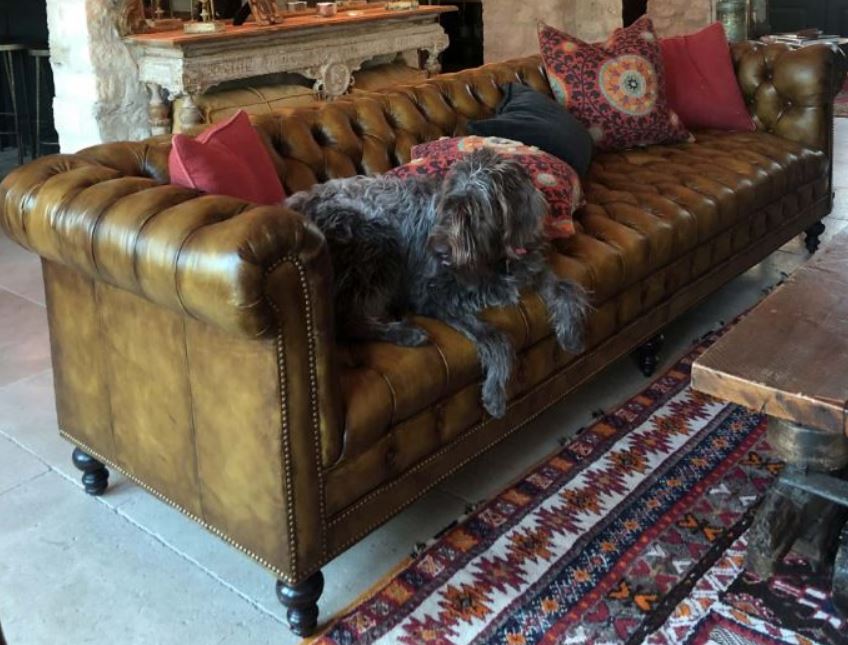 chesterfield leather lounge
